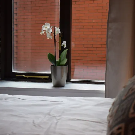 1 Bedroom In